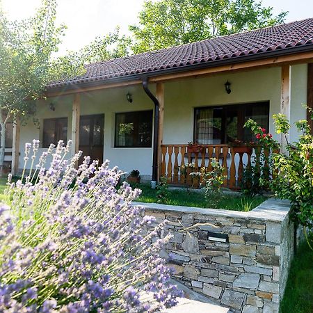 Walnut Cottage 1 Дебращица Екстериор снимка